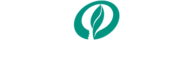 中赛照明